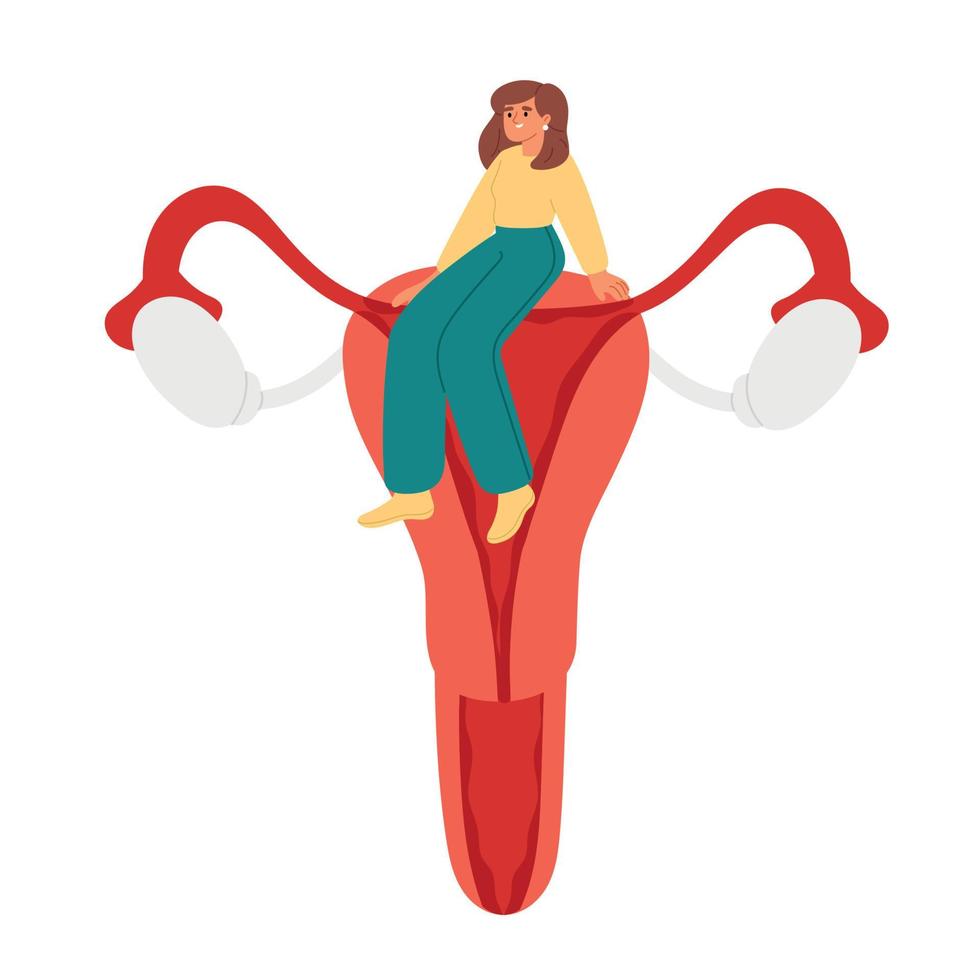 Female reproductive system. Uterus and ovaries. Flat vector illustration