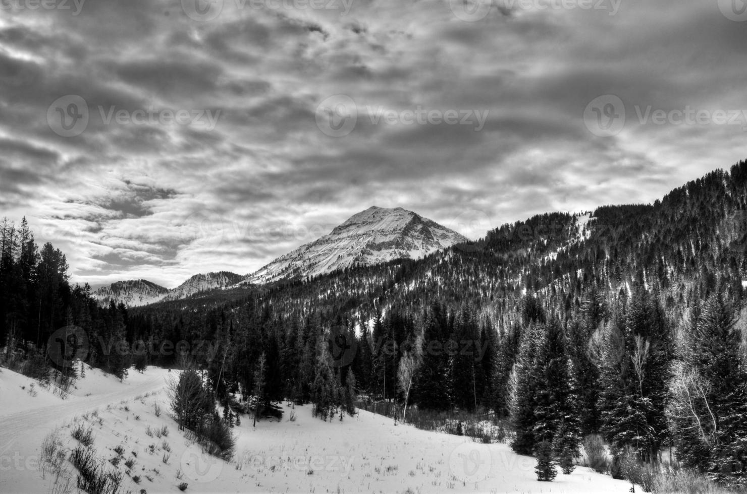 Greys River in Wyoming photo