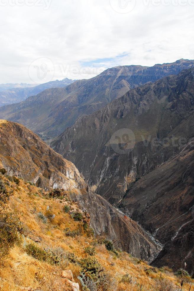 Colca Canyon, Peru Panorama photo