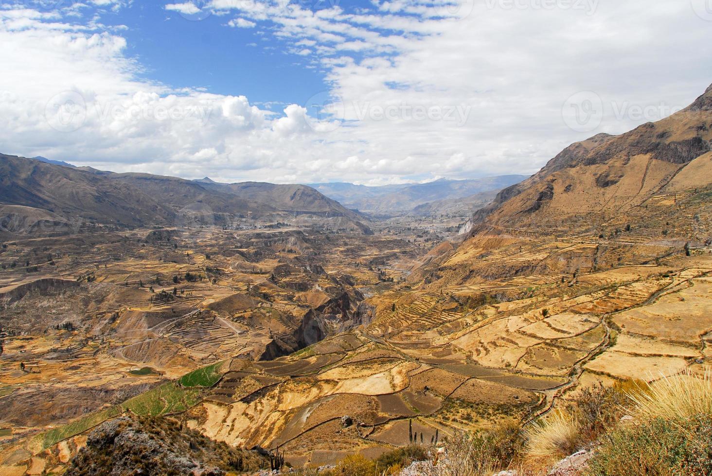 Colca Canyon, Peru photo