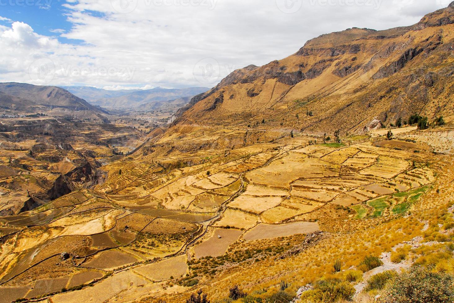 Colca Canyon, Peru photo