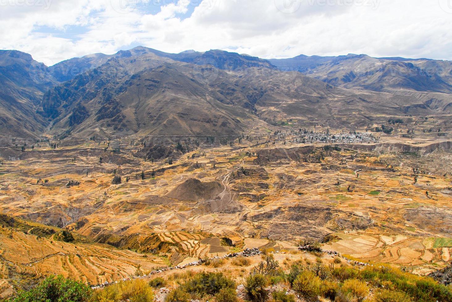 Colca Canyon, Peru photo