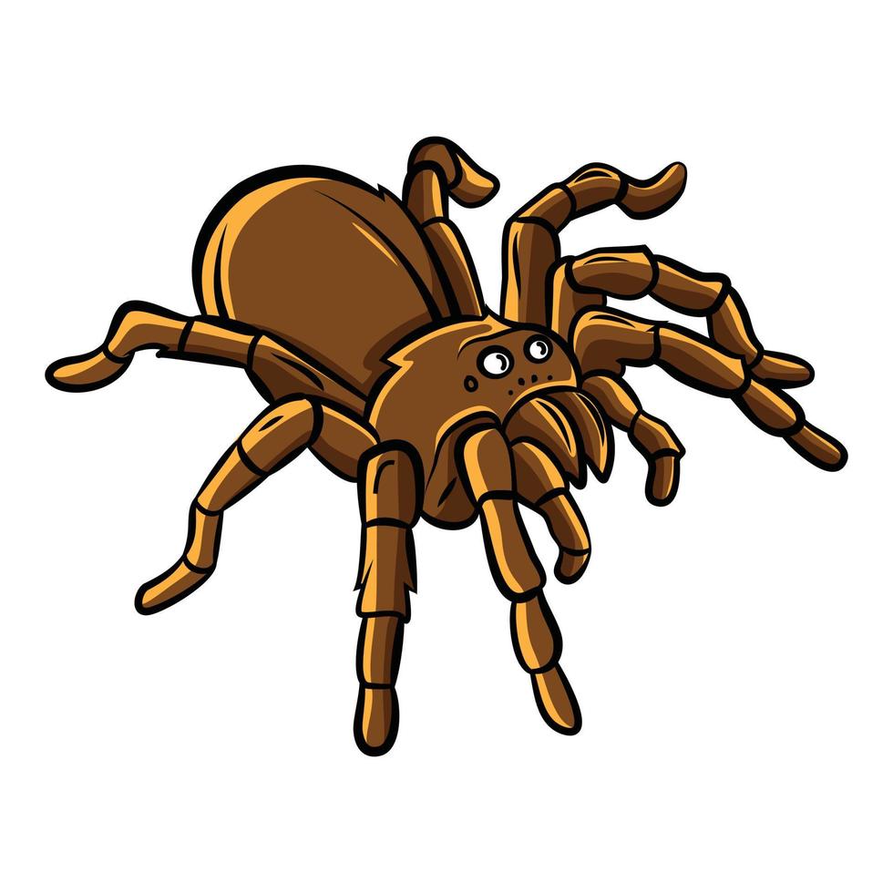 diseño de ilustración de vector de gran tarántula