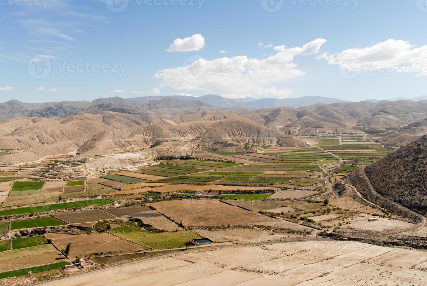 terrazas de campo del cañón del colca, perú foto