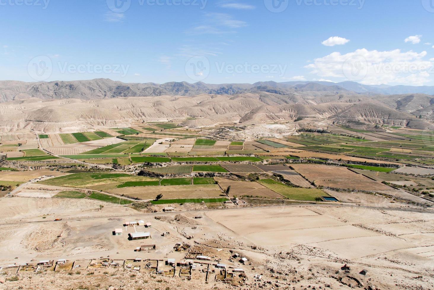 Field Terraces of Colca Canyon, Peru photo