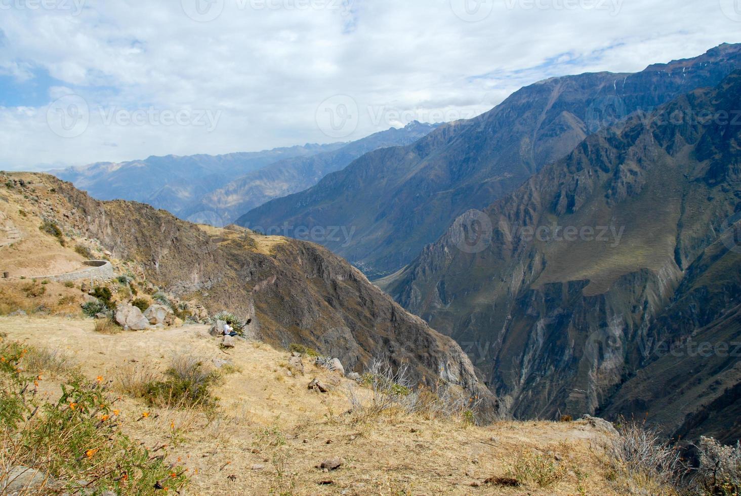 cañón del colca, perú foto