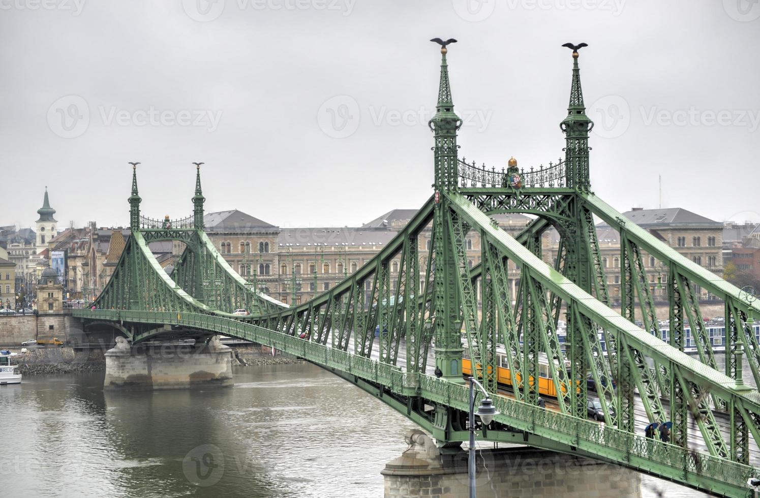 Liberty Bridge - Budapest, Hungary photo