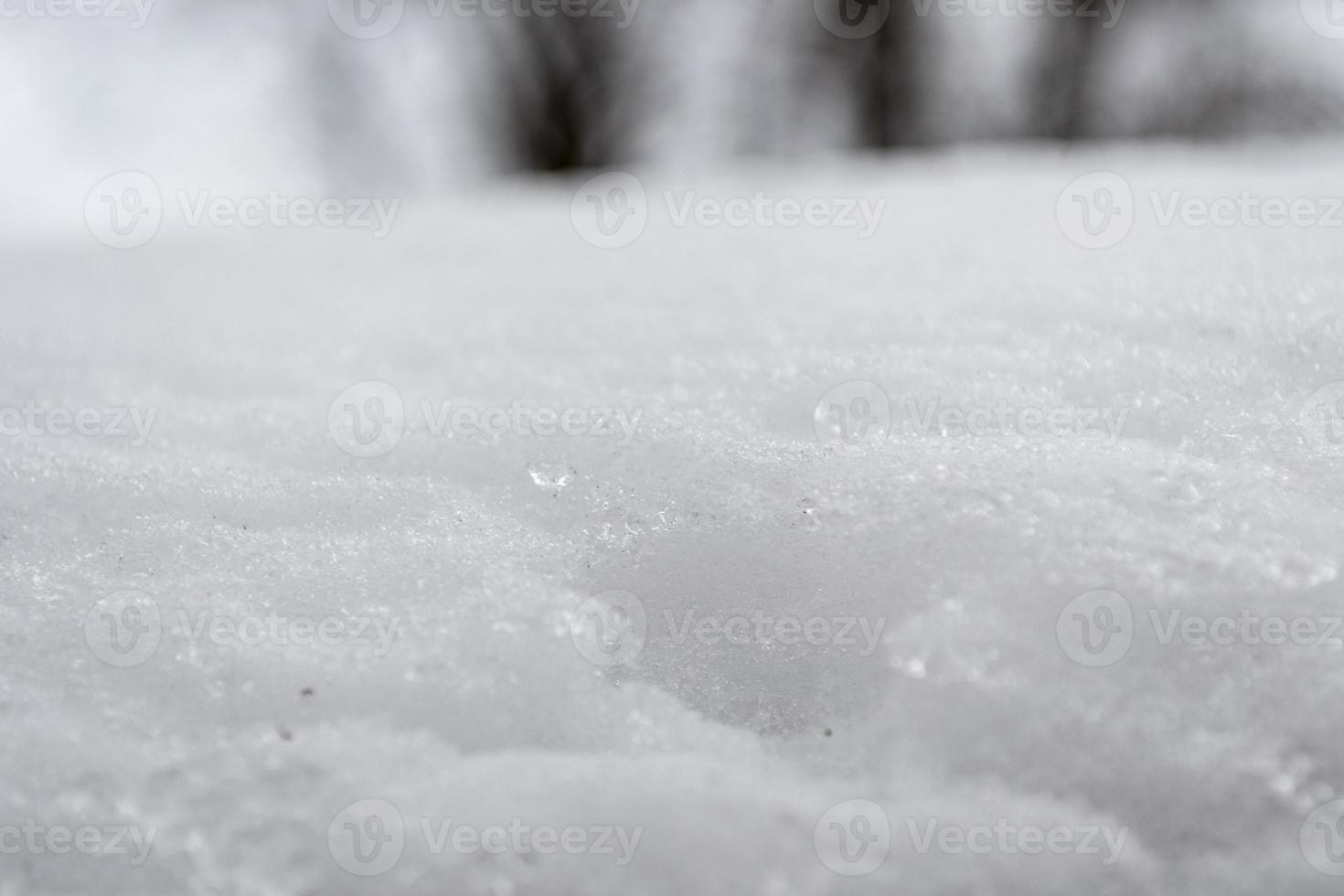 nieve blanca esponjosa en el suelo en invierno foto
