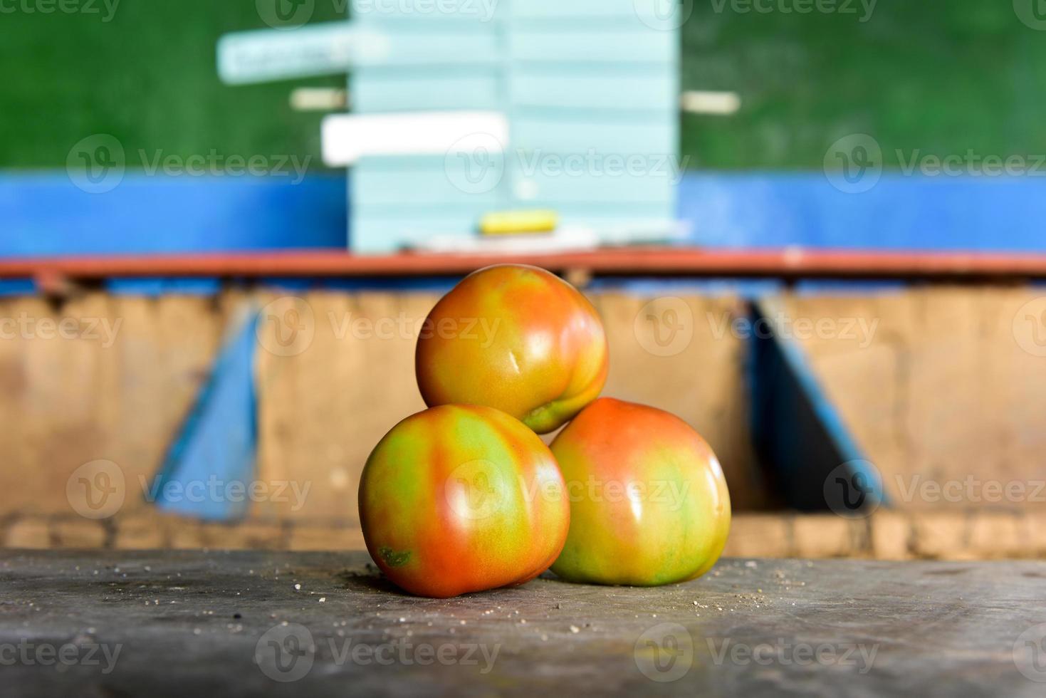 Tomatoes for sale in a nearly empty shop on the streets of Trinidad, Cuba. photo