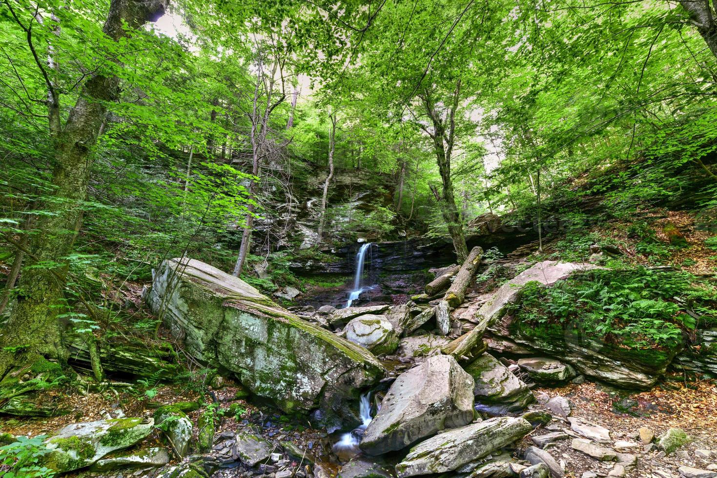 Waterfall in Ricketts Glen State Park, Pennsylvania. 16676591 Stock