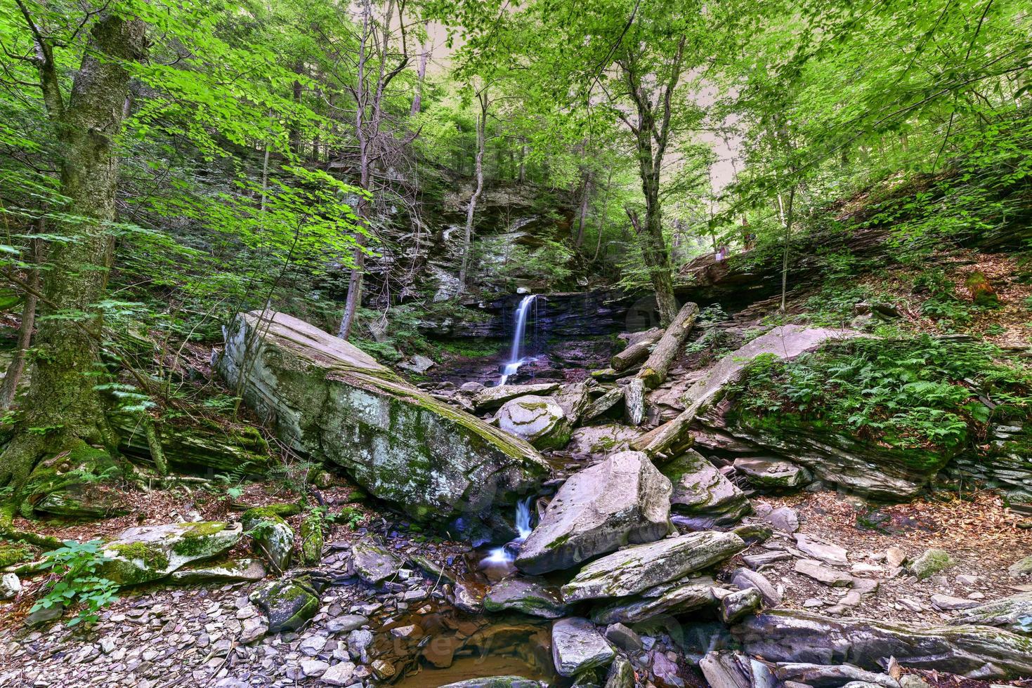 Waterfall in Ricketts Glen State Park, Pennsylvania. photo