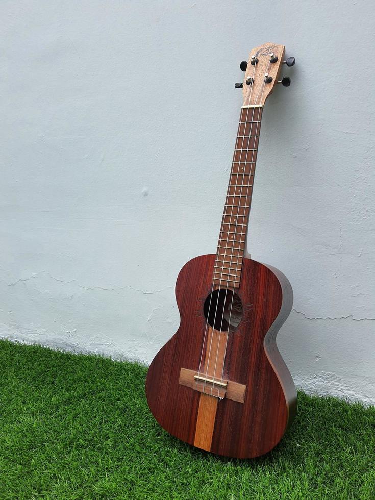 Jakarta, Indonesia in April 2022. This dark brown ukulele by the brand My Leho has good quality and a loud and melodious sound photo