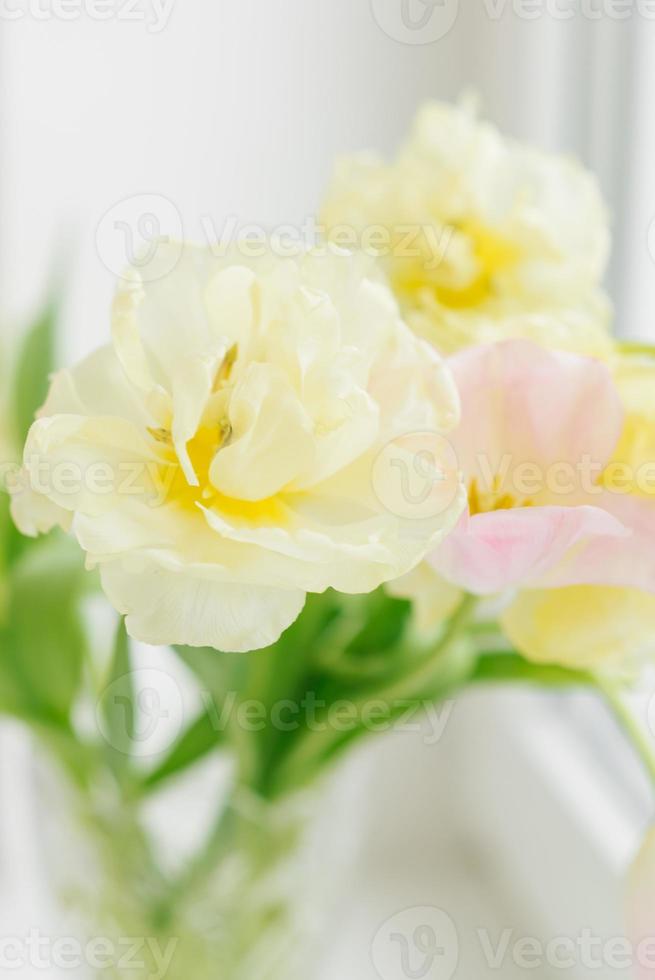 un delicado ramo de tulipanes en la ventana. la llegada de la primavera, 8 de marzo, semana santa, día de la madre. enfoque selectivo foto