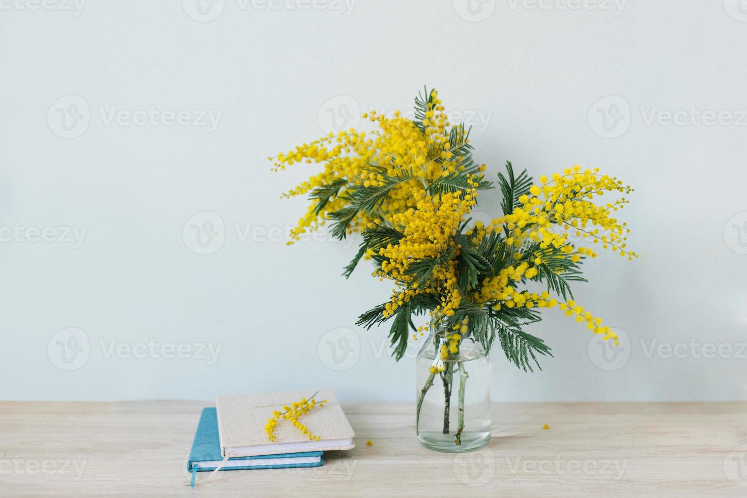 Mimosa branches in a glass vase on the table, a diary and notebook, a blue wall as a background photo