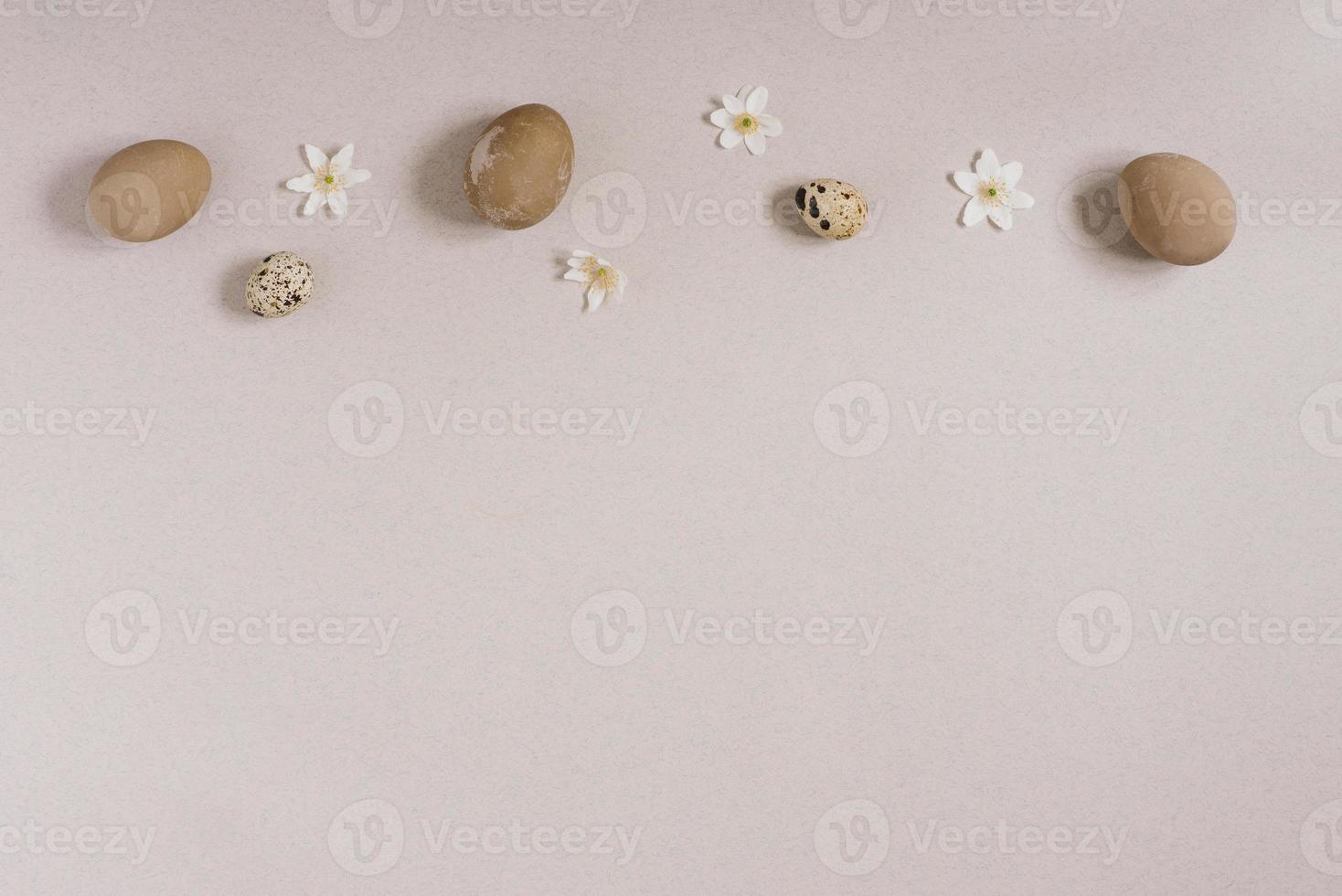 Top view of the Happy Easter holiday background concept decoration arrangements.The apartment had a quail and chicken Easter egg with white flowers on the beige table photo