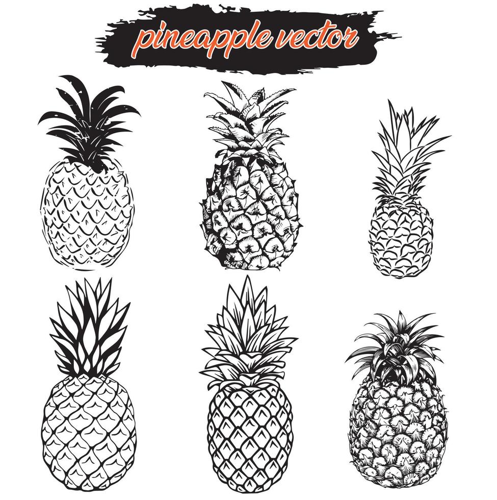 Pineapple silhouette vector set.  hand-drawn pineapple set.