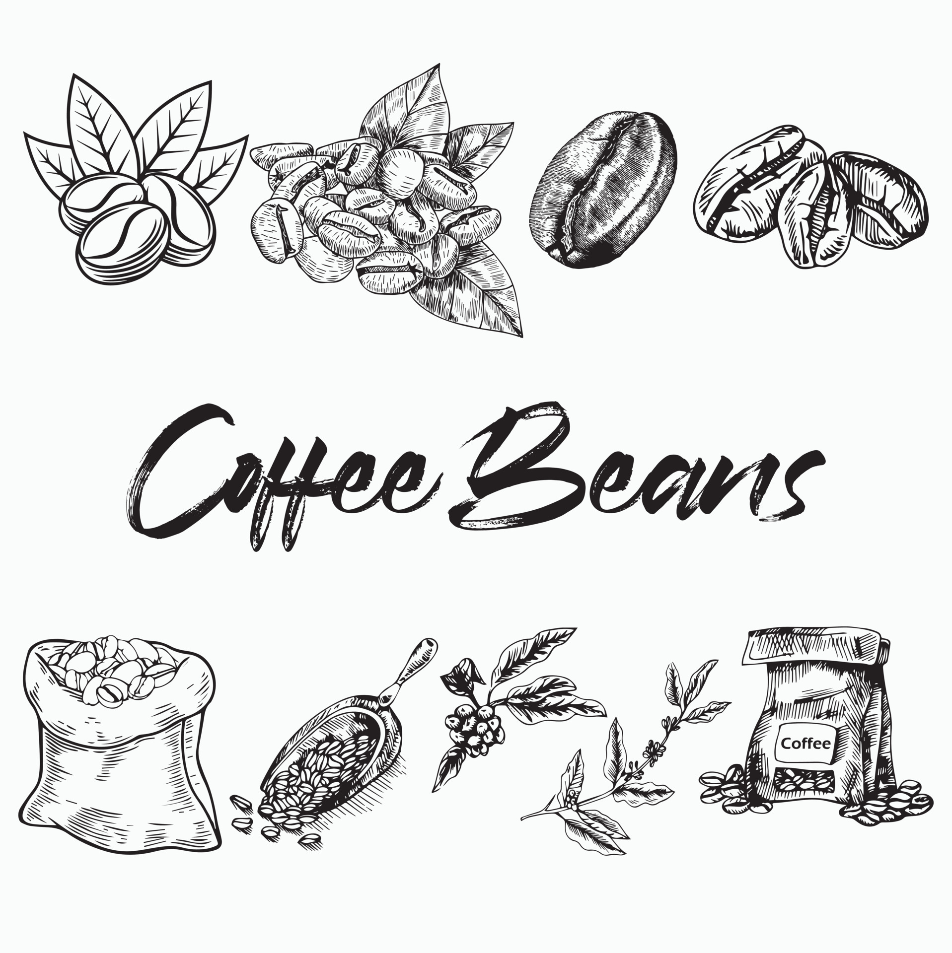 80% off Sale Coffee Bean Hand Drawn Vector Sketch of Coffee - Etsy