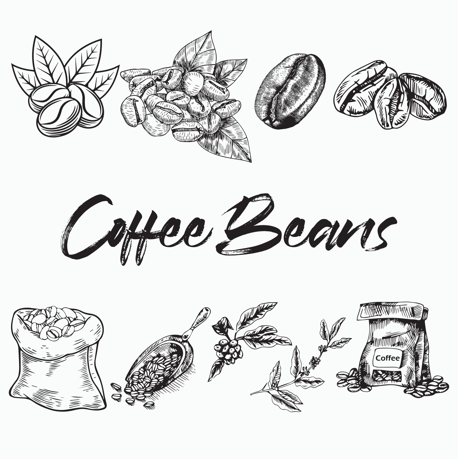 Coffee Bean Line Drawing