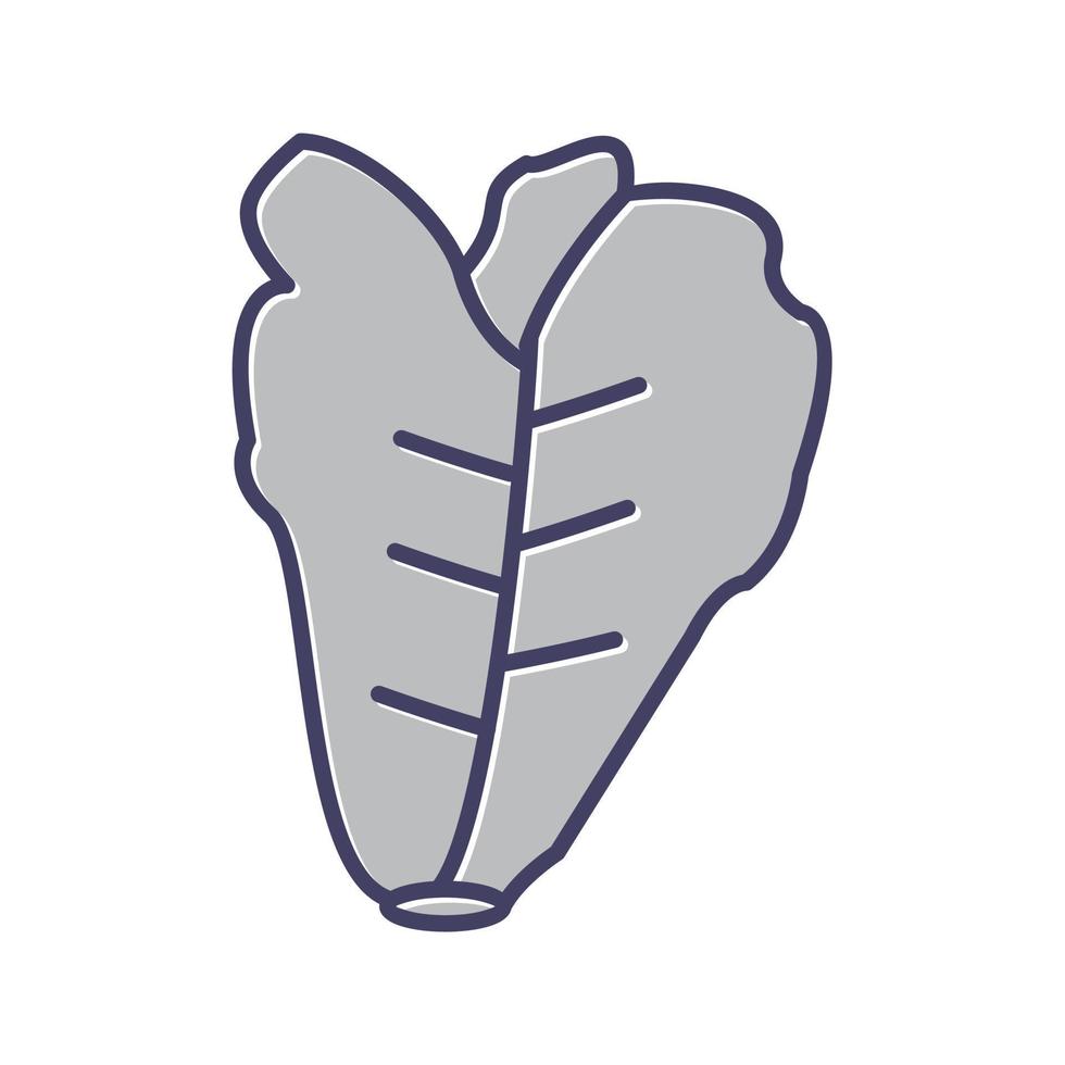 Lettuce Vector Icon