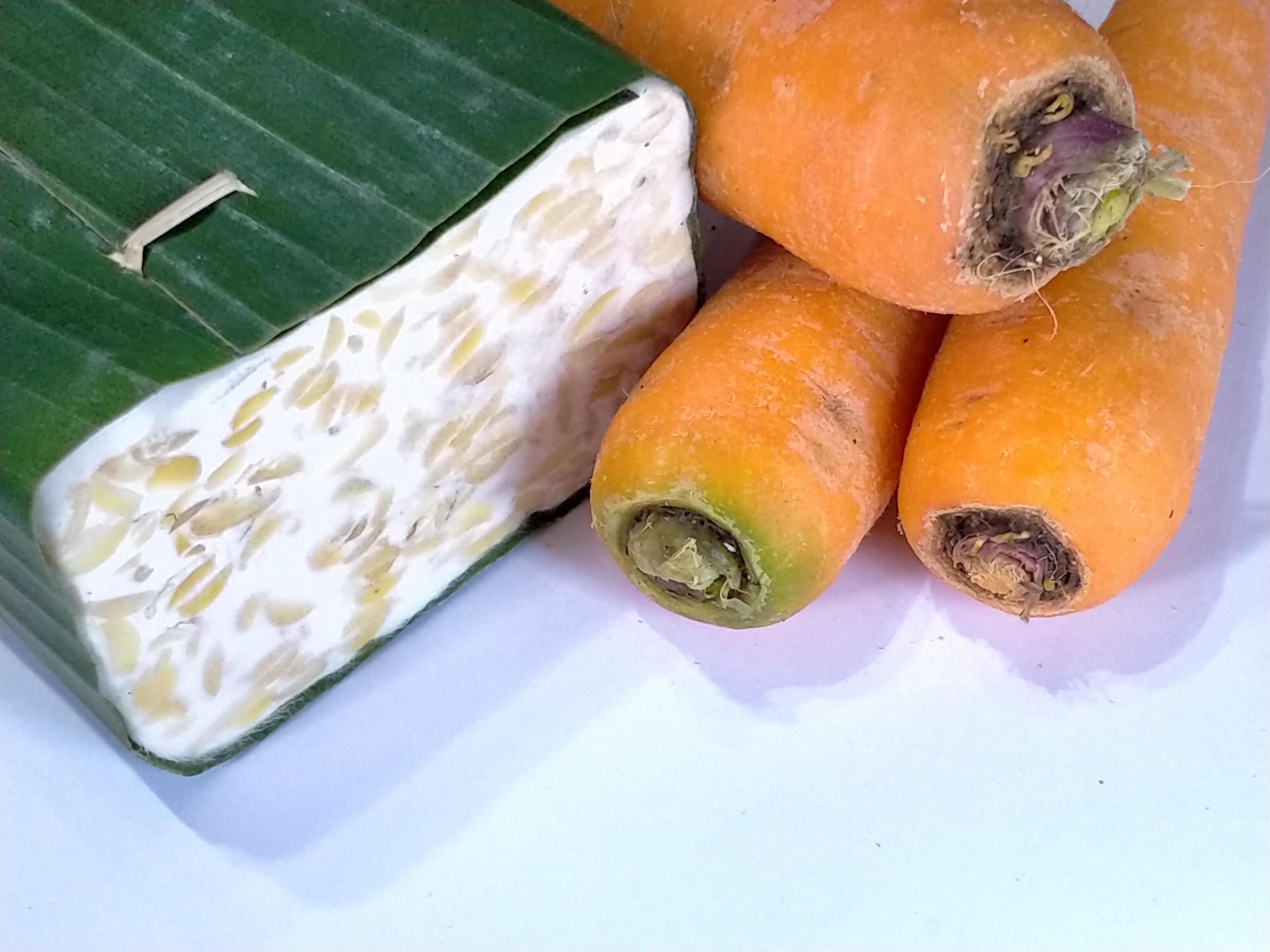 Raw tempeh or tempe and carrot.Tempeh is a traditional Indonesian food