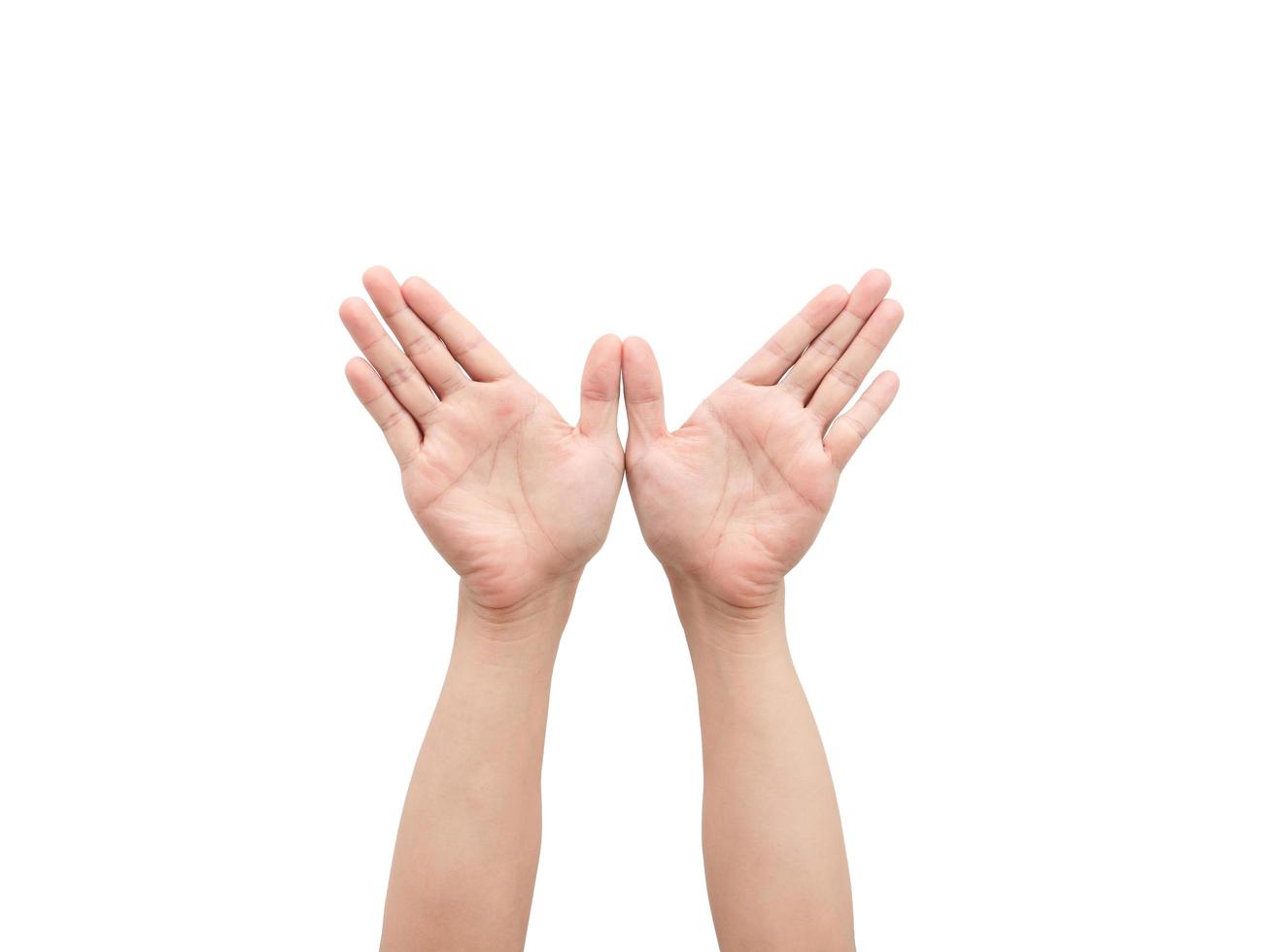 Male hands gesture wings white isolated photo