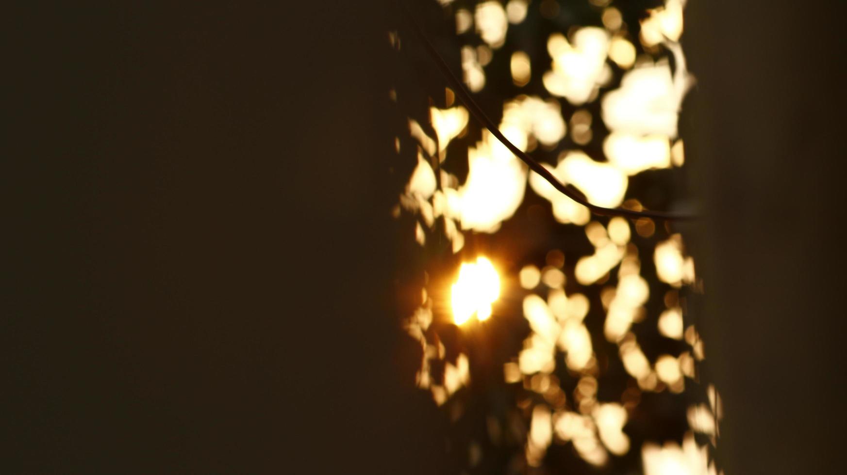 Sun Shining Through Tree Leaves In Outdoor Garden in Karachi Pakistan 2022 photo