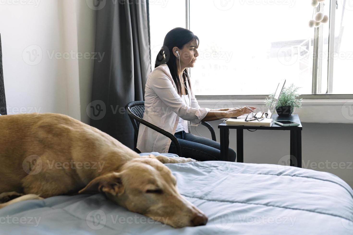 Dog lying on bed with owner working at home. Selective focus. photo