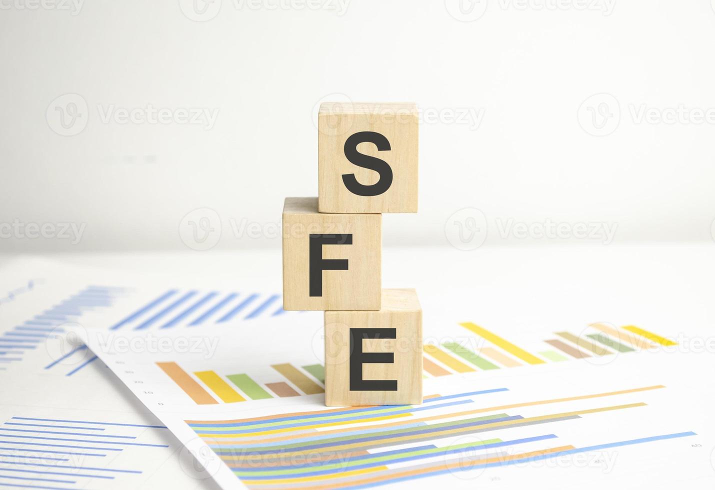 Concept image of Accounting Business Acronym SFE Sales Force Effectiveness written on wooden block photo