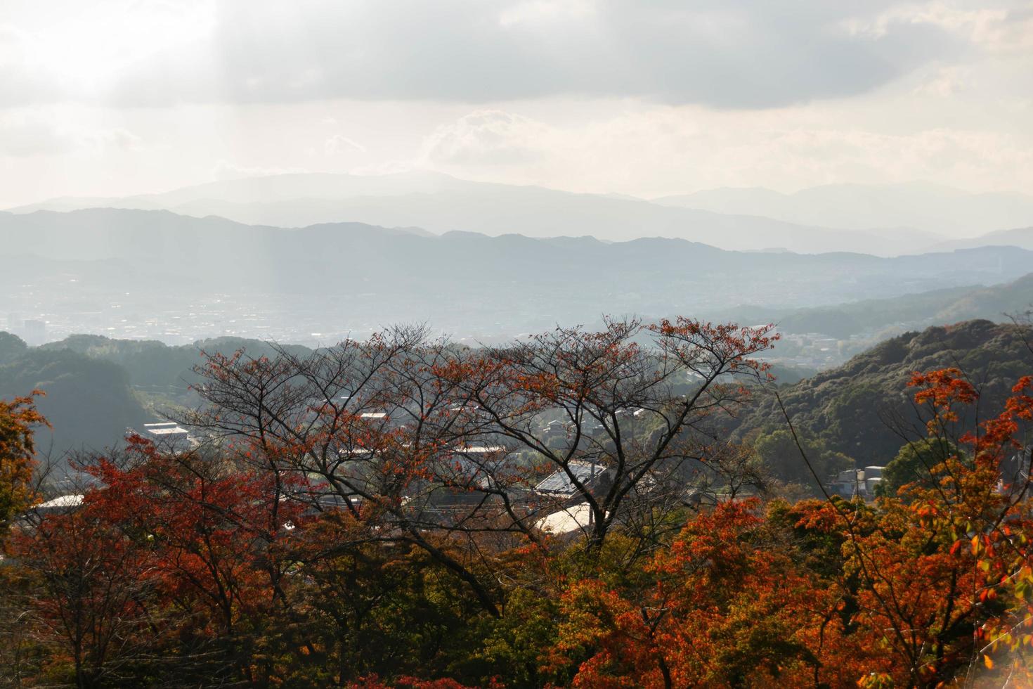 vista panorámica del bosque de árboles de arce en otoño, mientras que las hojas de arce cambian a rojo, naranja y fondo de la cordillera bajo el sol durante el día foto