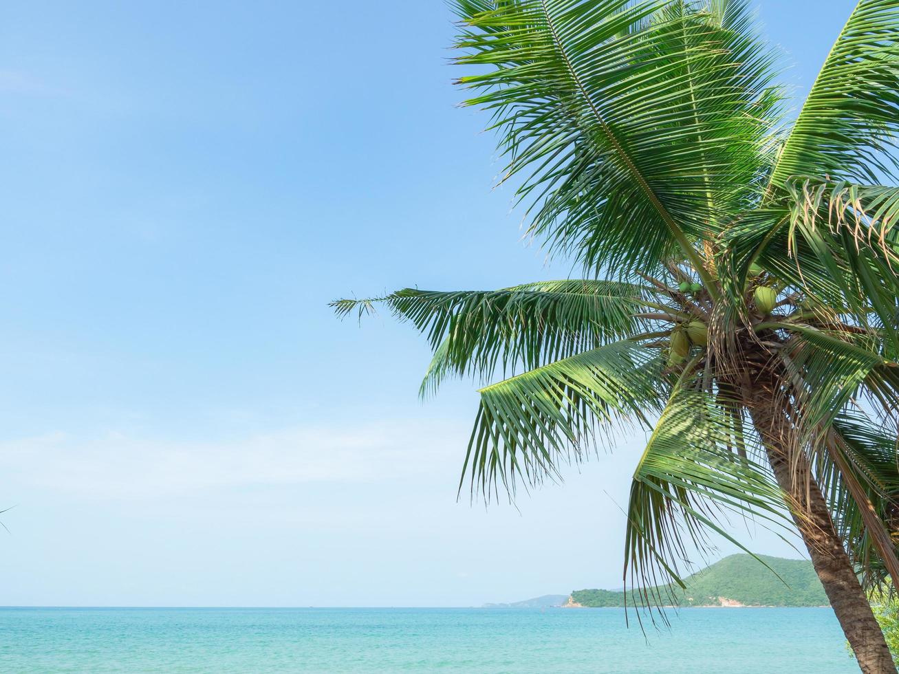 Blue ocean beach with coconut tree and valley background landscape,Travel holiday concept beaituful view seascape clean weather on blue sky photo