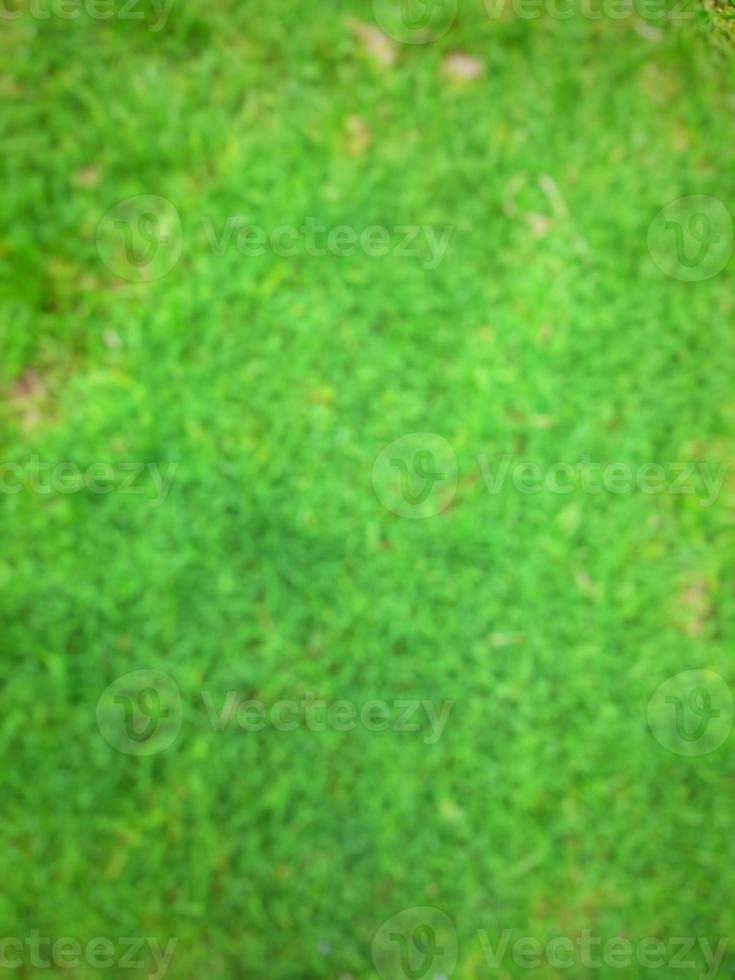 Defocused abstract background of green grass photo