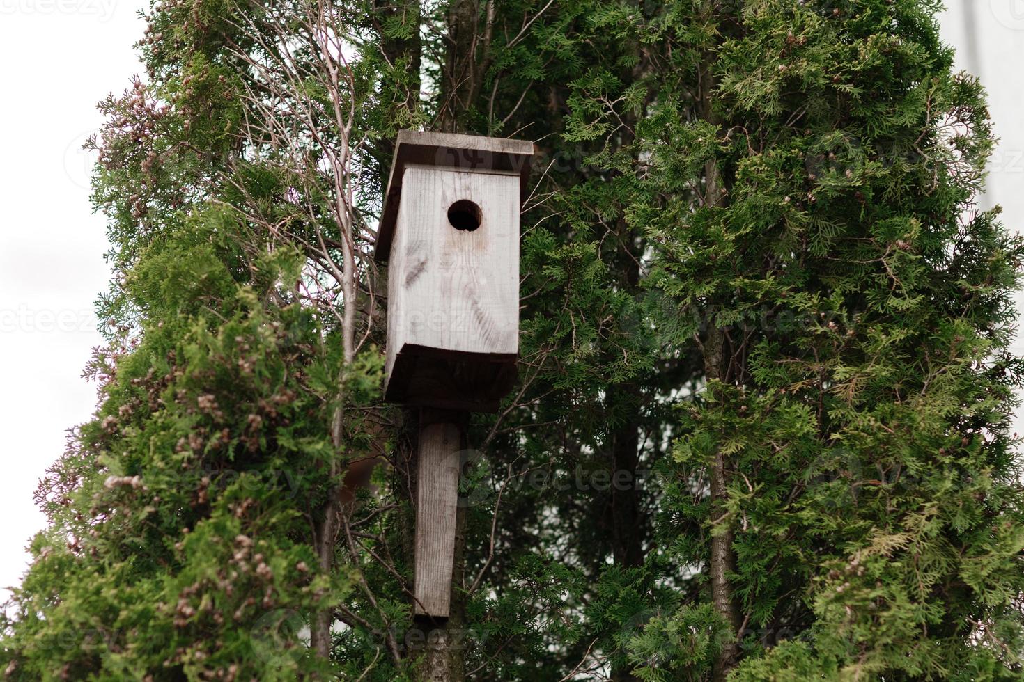 tree house for birds on the tree, birdhouse from the tree for wintering birds photo