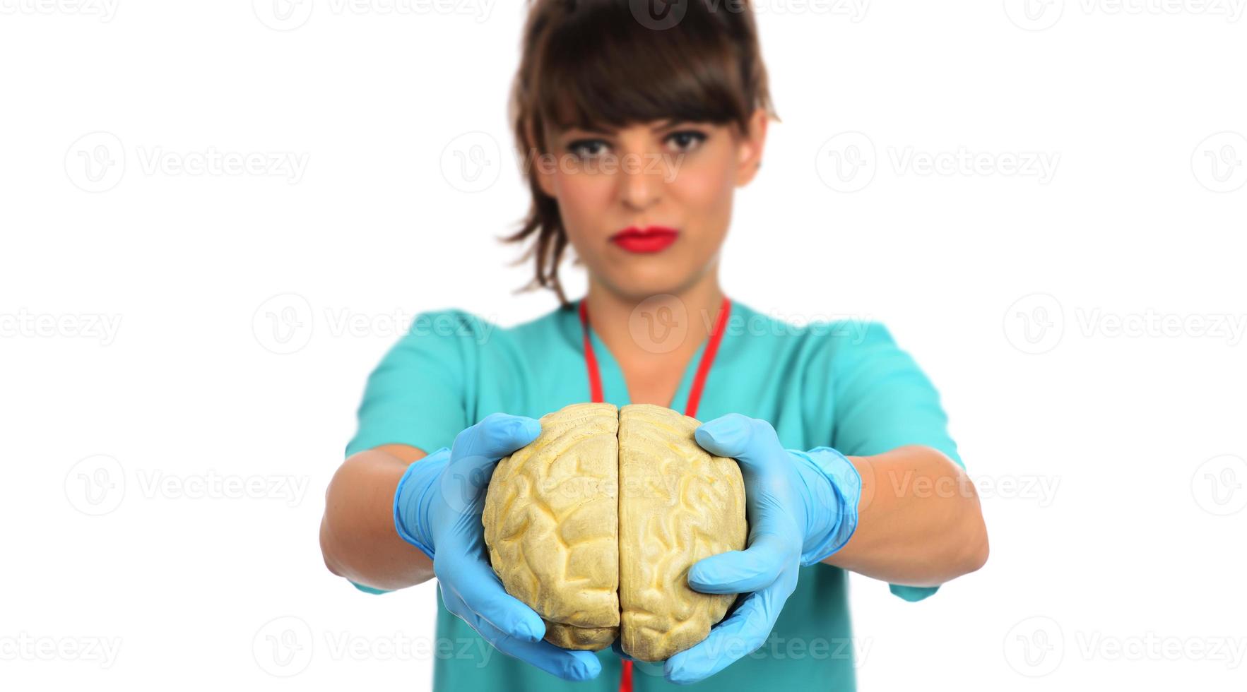 Female doctor holding a human brain model against white background photo