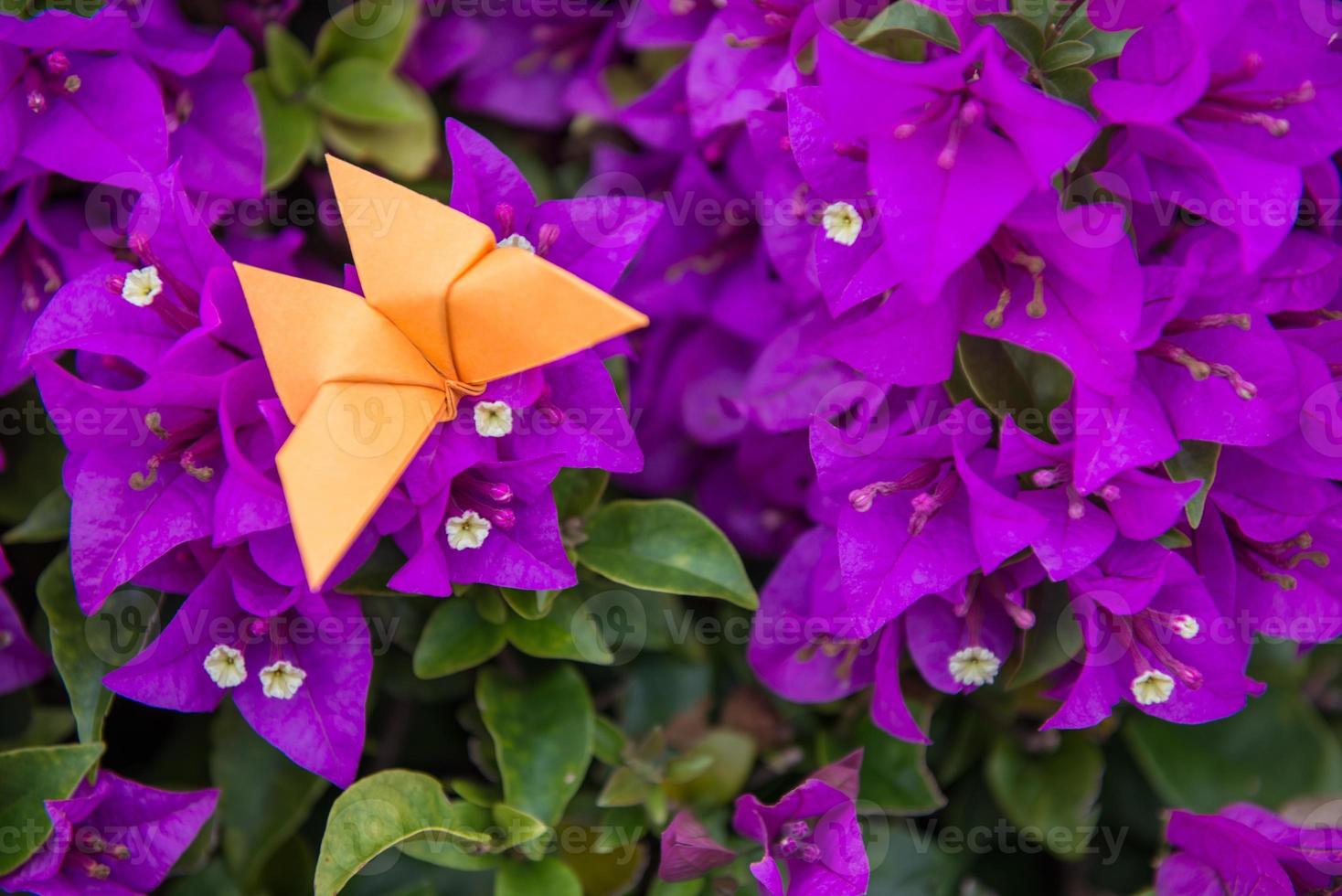 butterfly Origami with flower photo