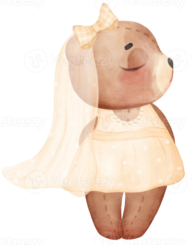 Cute sweet wedding bride teddy bear lady cartoon character watercolour png