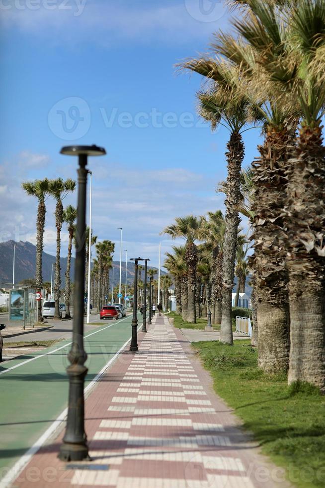 pasarela y carril bici con palmeras en la ciudad turística en vacaciones de verano foto