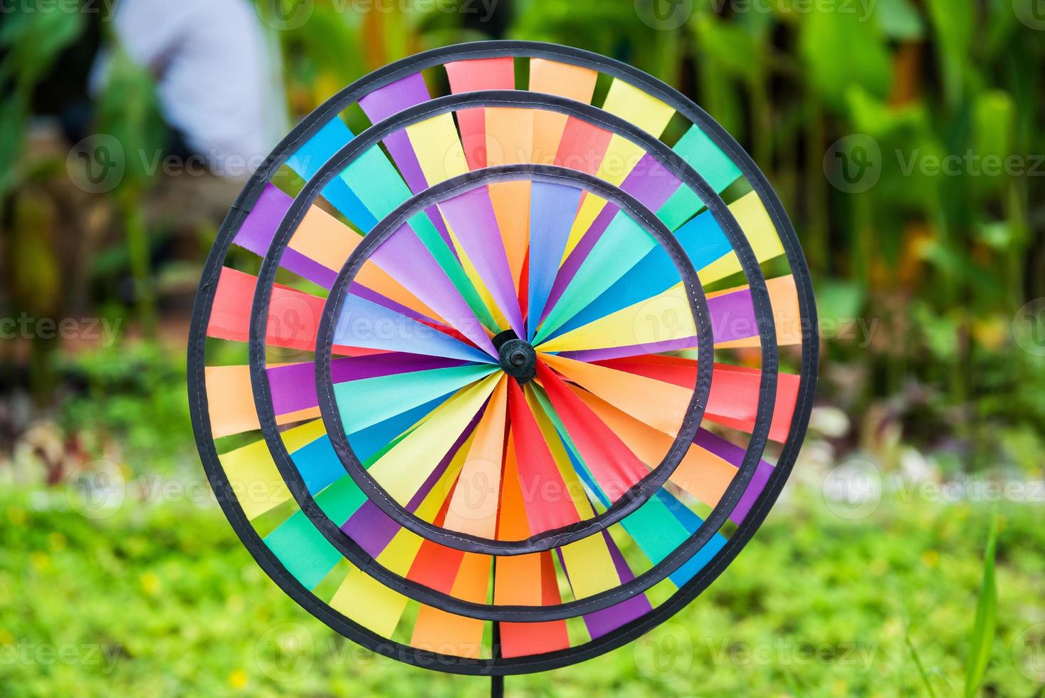 Colorful pinwheel in the garden photo