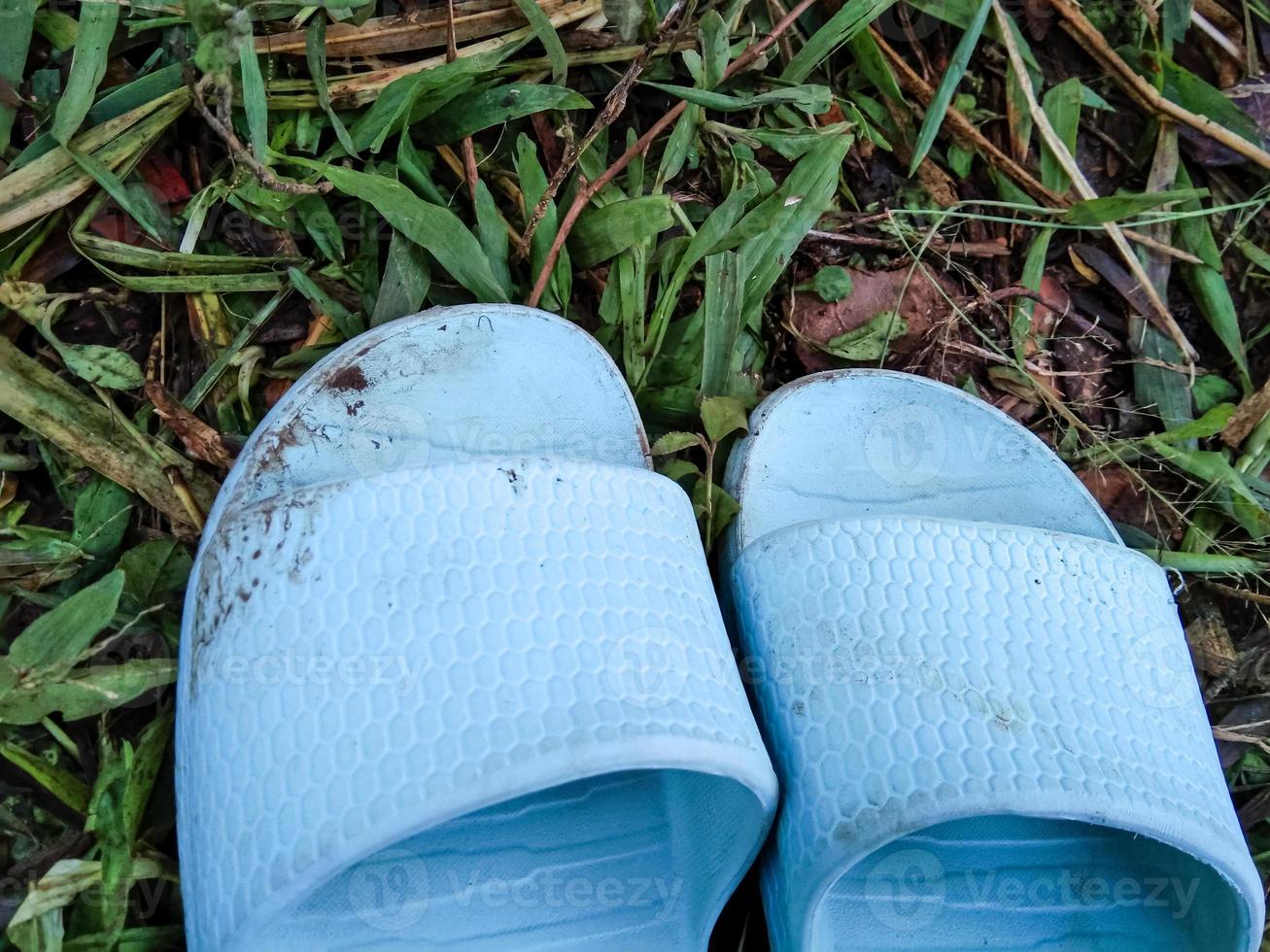 light blue rubber sandals exposed to mud on the green grass photo