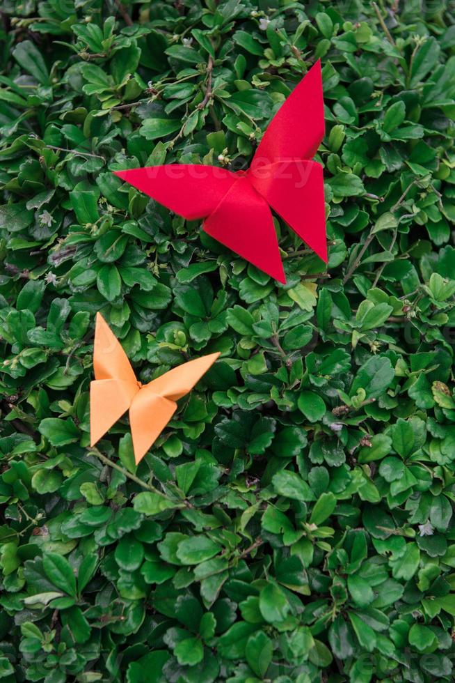 origami de mariposa con la naturaleza foto