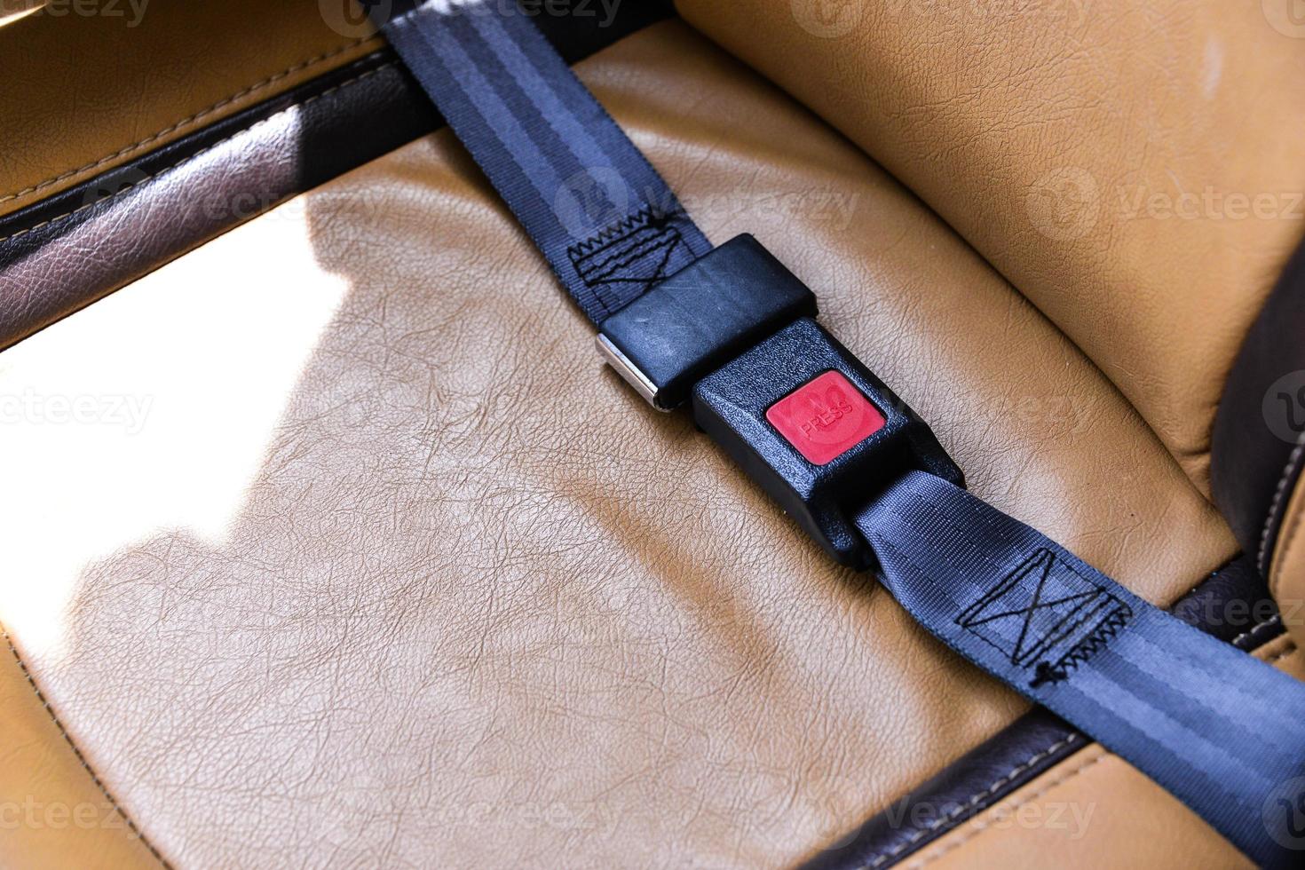 seat belt on a leather chair photo