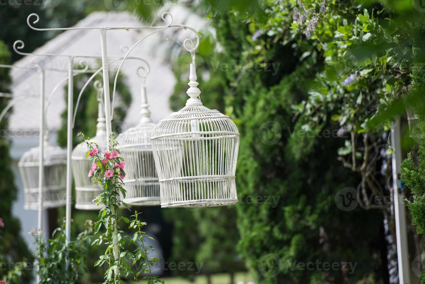 White bird cage as Lamp in the garden photo