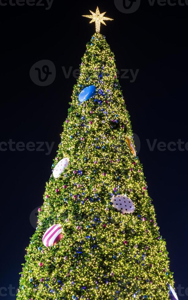 Christmas tree and decorations and lights photo