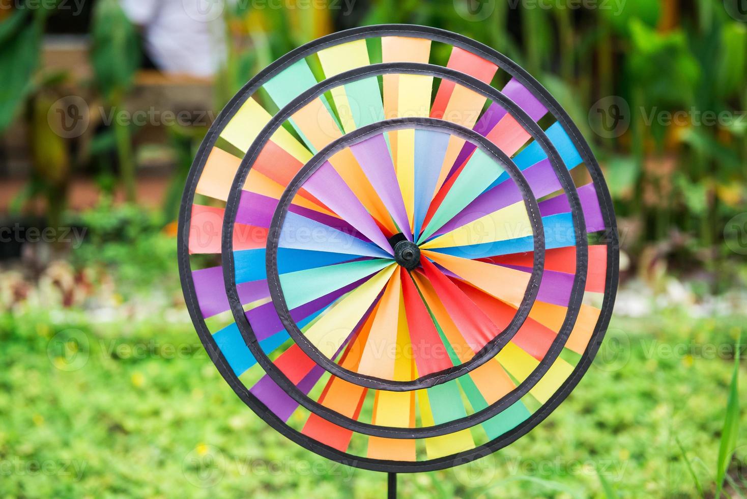 Colorful pinwheel in the garden photo