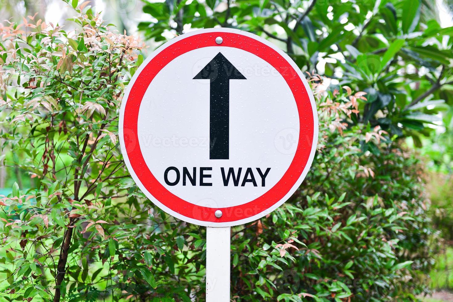 One way arrow sign photo