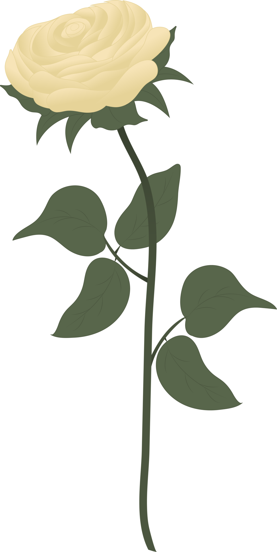 Hermosa Rosa Blanca 16695435 PNG hermosa-rosa-blanca-16695435-png
