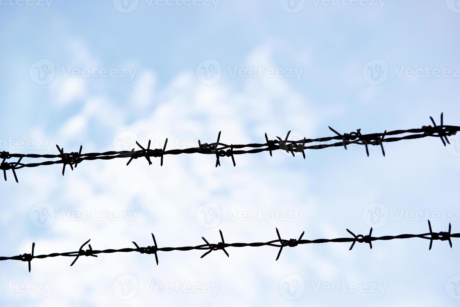 Double lines of Barbed wire with blue sky photo