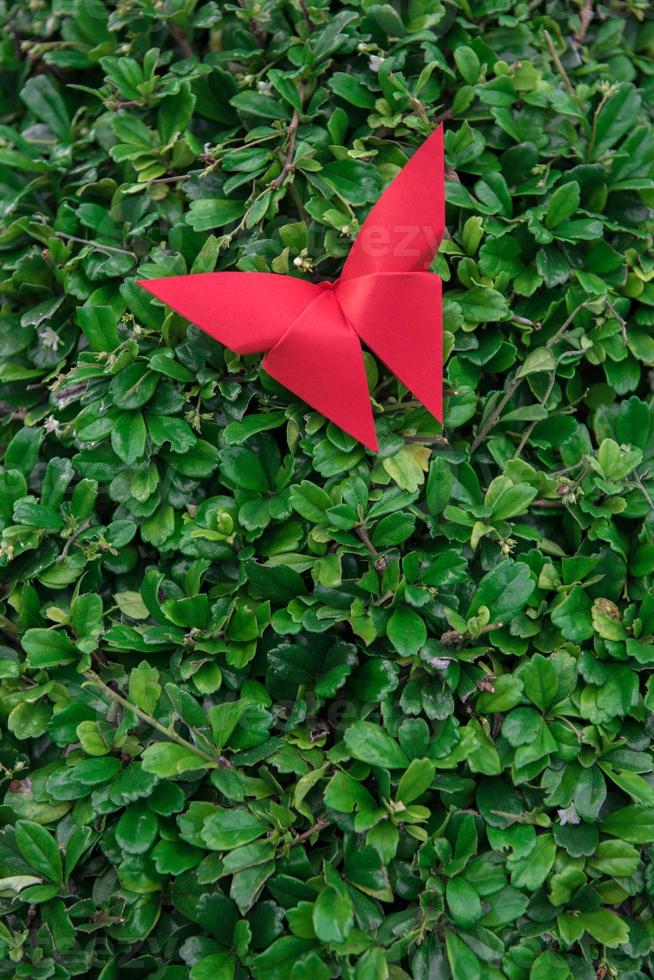 origami de mariposa con la naturaleza foto