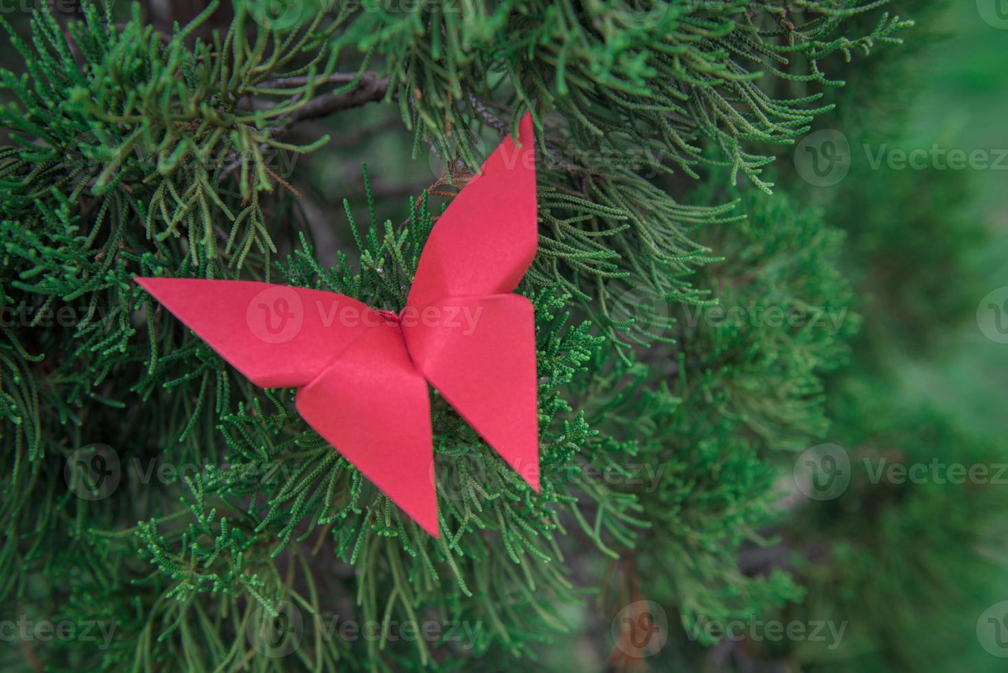 butterfly Origami with nature photo