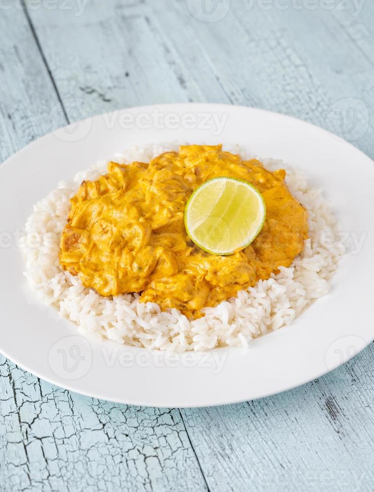 Portion of chicken curry photo