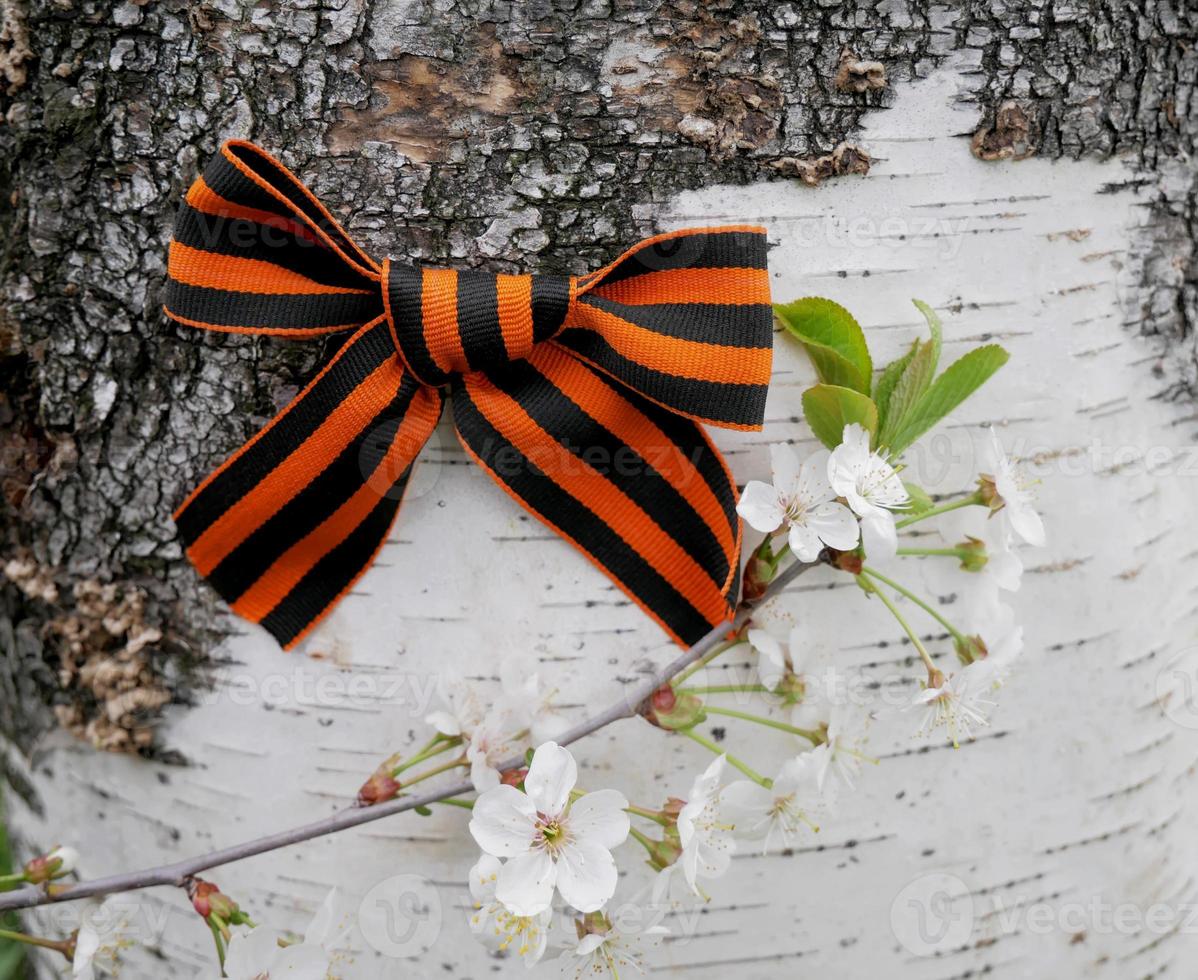 .9th May. The concept of the Great Victory Day of 1941-1945 and Defender of the Fatherland Day. St. George ribbon on the background of Russian birch. banner photo